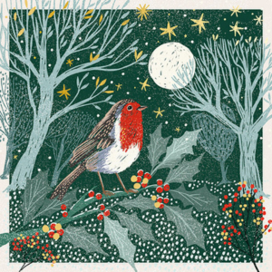 Robin On The Holly Branch