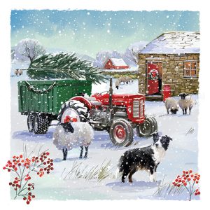 Snow On The Farm